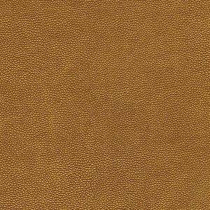 Rambutan-Nj # 760 Age by Maxwell Designer Fabric