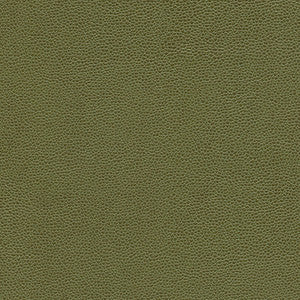 Rambutan-Nj # 761 Bush by Maxwell Designer Fabric