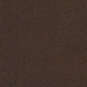 Rambutan-Nj # 762 Archive by Maxwell Designer Fabric