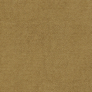 Rambutan-Nj # 764 Clay by Maxwell Designer Fabric