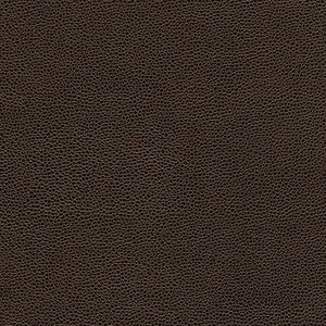 Rambutan-Nj # 767 Trunk by Maxwell Designer Fabric