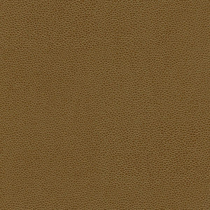 Rambutan-Nj # 768 Cuba by Maxwell Designer Fabric