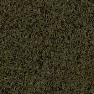 Rambutan-Nj # 771 Frond by Maxwell Designer Fabric