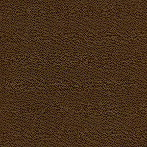 Rambutan-Nj # 772 Husk by Maxwell Designer Fabric