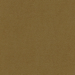 Rambutan-Nj # 775 Oak by Maxwell Designer Fabric