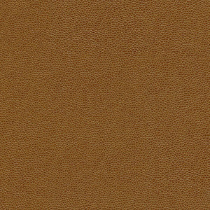 Rambutan-Nj # 776 Maple by Maxwell Designer Fabric