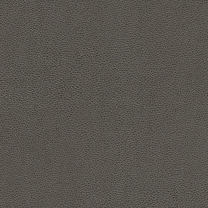 Rambutan-Nj # 779 Graphite by Maxwell Designer Fabric