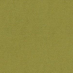 Rambutan-Nj # 780 Grass by Maxwell Designer Fabric