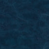Rhone-Nj # 980 Cortez by Maxwell Designer Fabric