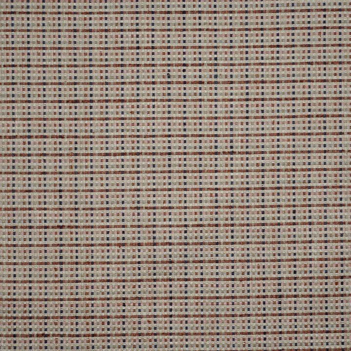 Rousanne # 843 Spumoni by Maxwell Designer Fabric Performance Wovens-Vol. Vii Rhubarb 78% POLYESTER
22% COTTON INDIA V-0.8" H-0.8" 55" - Swanky Fabrics -