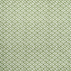 Ryder # 624 Aloe by Maxwell Designer Fabric