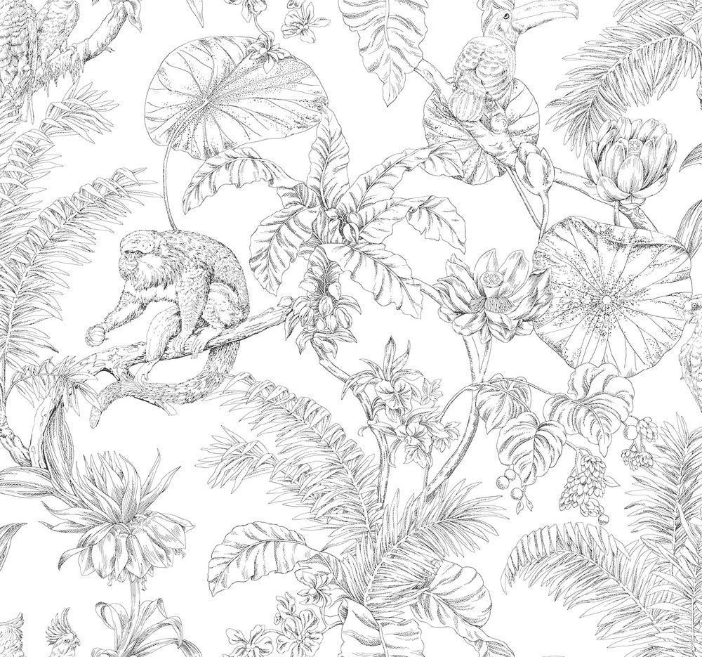 Tropical Sketch Toile Black Wallpaper by York Wallcoverings Designer Toile Resource Library Covers about 60.8 square feet 27-in by 27-ft long roll Unpasted 25.25 - Swanky Fabrics -