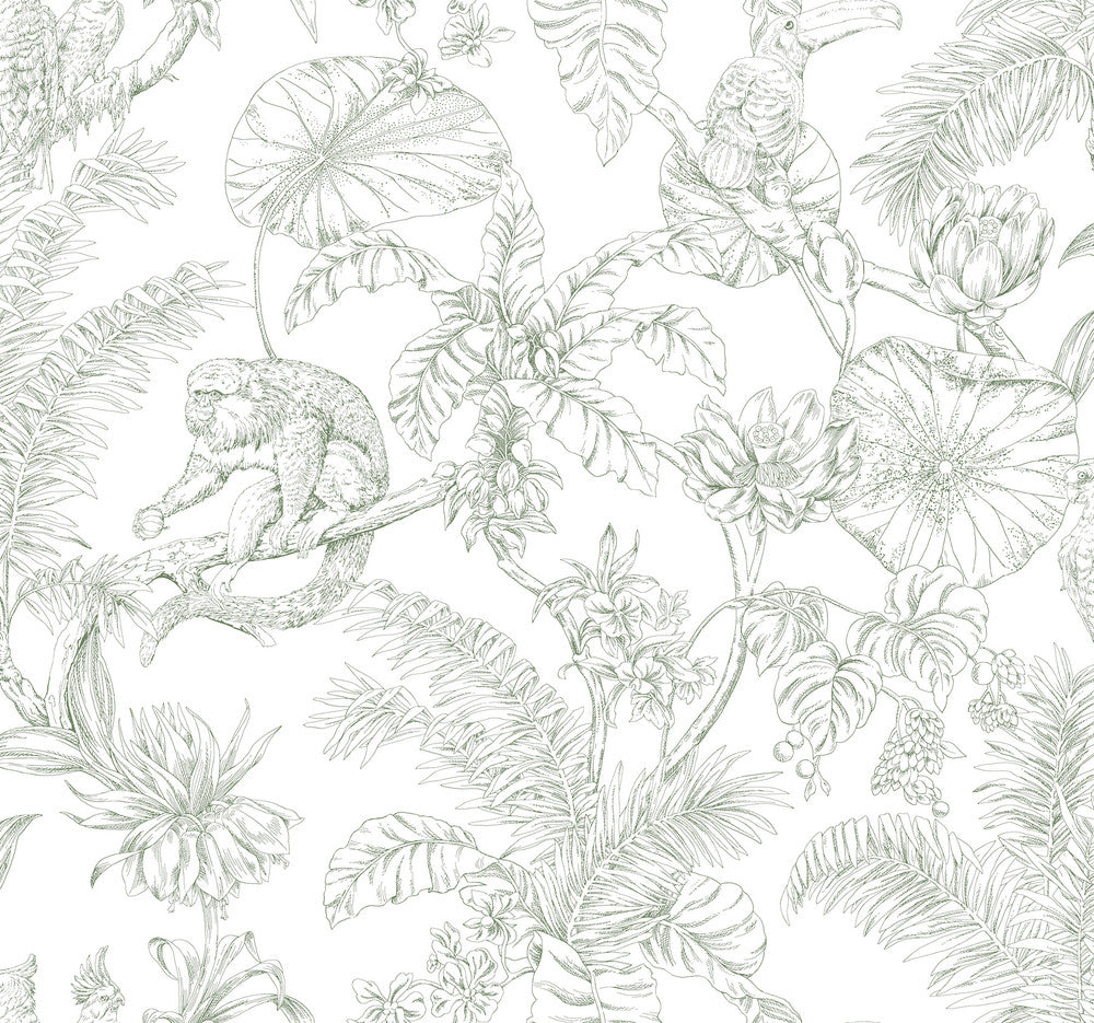 Tropical Sketch Toile Forest Wallpaper by York Wallcoverings Designer Toile Resource Library Covers about 60.8 square feet 27-in by 27-ft long roll Unpasted 25.25 - Swanky Fabrics -