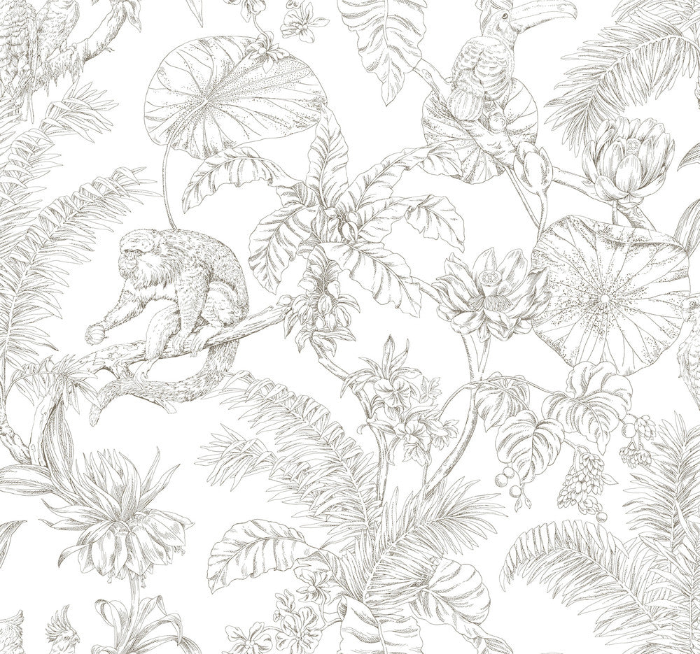 Tropical Sketch Toile Brown Wallpaper by York Wallcoverings Designer Toile Resource Library Covers about 60.8 square feet 27-in by 27-ft long roll Unpasted 25.25 - Swanky Fabrics -