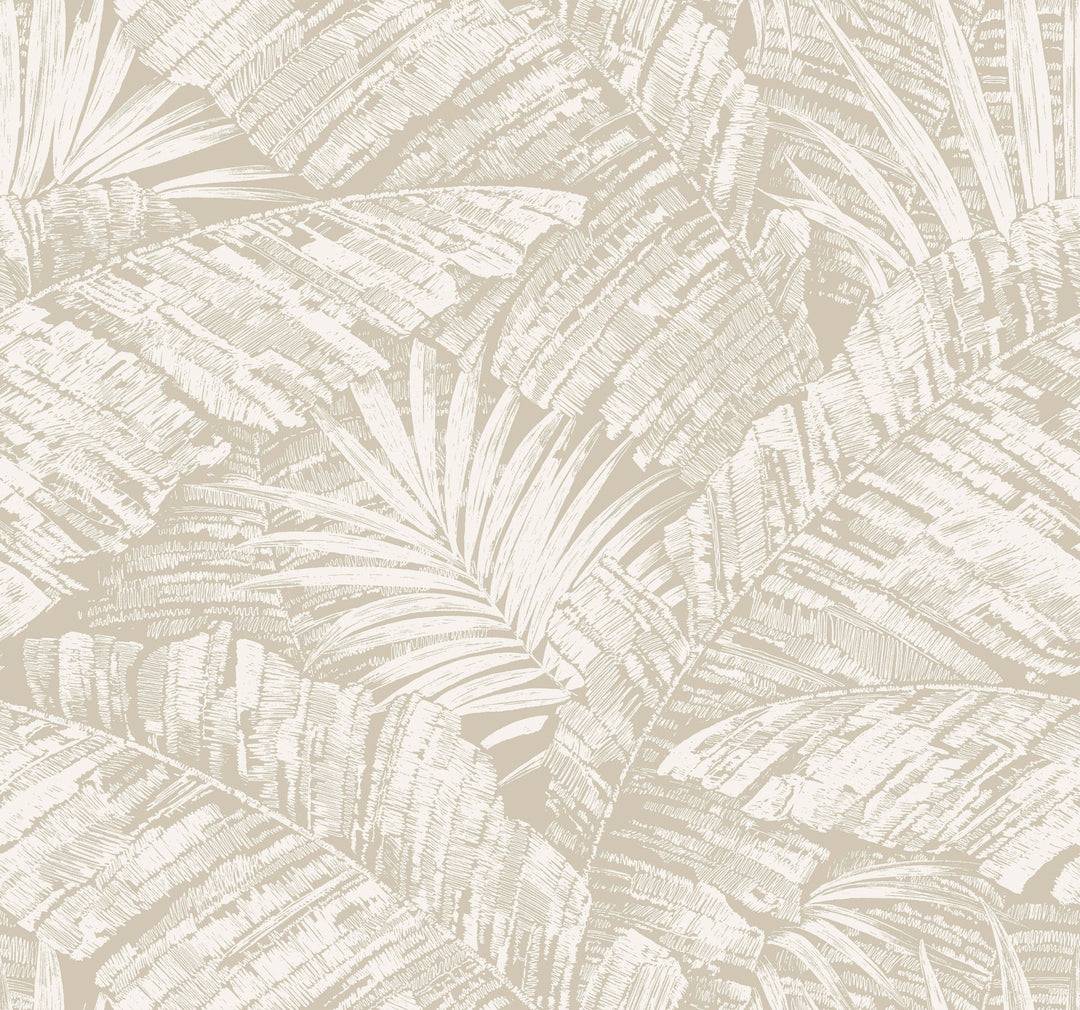 Palm Cove Toile White & Taupe Wallpaper by York Wallcoverings Designer