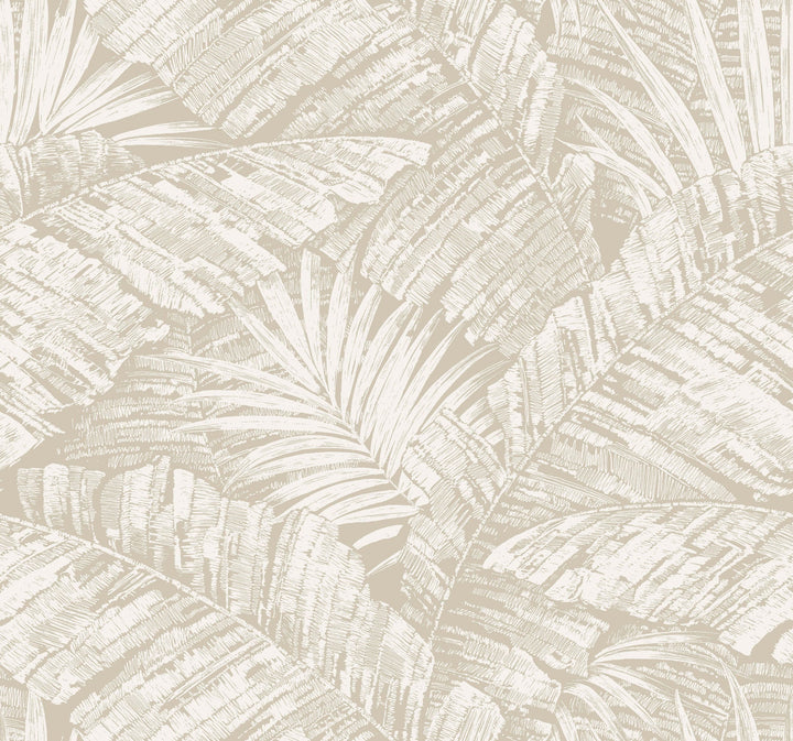 Palm Cove Toile White & Taupe Wallpaper by York Wallcoverings Designer