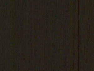Rugby Black 75 by Norbar Designer Fabric