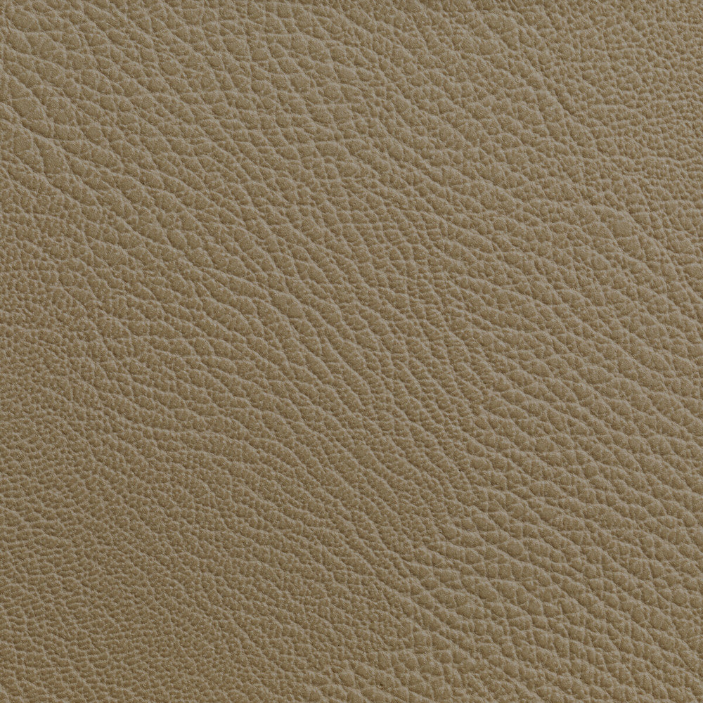 Rustler Cashew by Kravet Contract Designer Fabric FOUNDATIONS / VALUE POLY VINYL CHLORIDE - 100% China HEAVY Horizontal: 0 and Vertical: 0 54 - Swanky Fabrics -