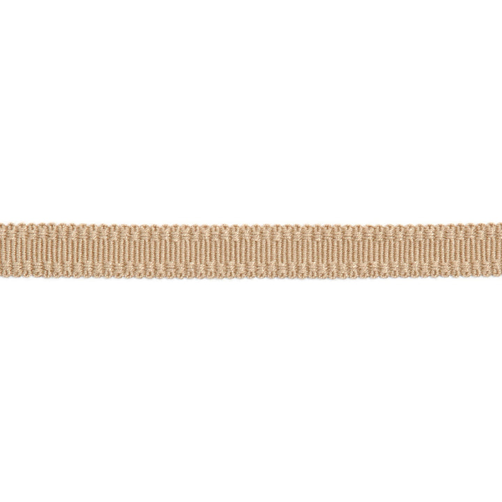 Versailles 9/16" Raised Edge Gimp Biscotti by Europatex Designer Fabric Versailles 100% Rayon 0.56 inches - Swanky Fabrics -