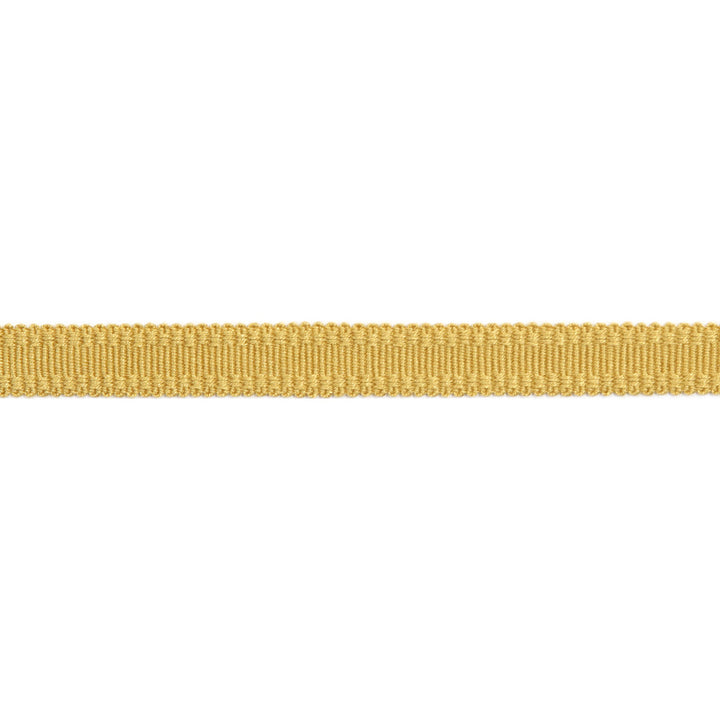 Versailles 9/16" Raised Edge Gimp Dijon by Europatex Designer Fabric Versailles 100% Rayon 0.56 inches - Swanky Fabrics -