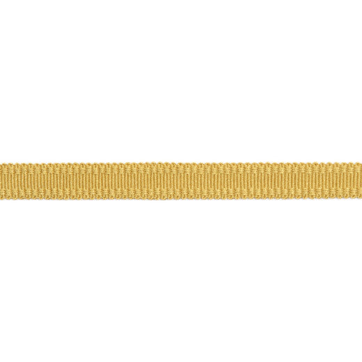 Versailles 9/16" Raised Edge Gimp - Dijon by Europatex Designer Fabric Versailles 100% Rayon China See Sample Horizontal: N/A and Vertical: N/A 0.56 inches  - Swanky Fabrics -
