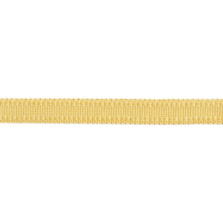 Versailles 9/16" Raised Edge Gimp Honey by Europatex Designer Fabric Versailles 100% Rayon 0.56 inches - Swanky Fabrics -