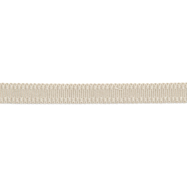 Versailles 9/16" Raised Edge Gimp Latte by Europatex Designer Fabric Versailles 100% Rayon 0.56 inches - Swanky Fabrics -
