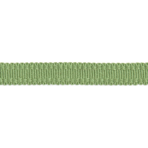 Versailles 9/16" Raised Edge Gimp - Lime by Europatex Designer Fabric Versailles 100% Rayon China See Sample Horizontal: N/A and Vertical: N/A 0.56 inches  - Swanky Fabrics -