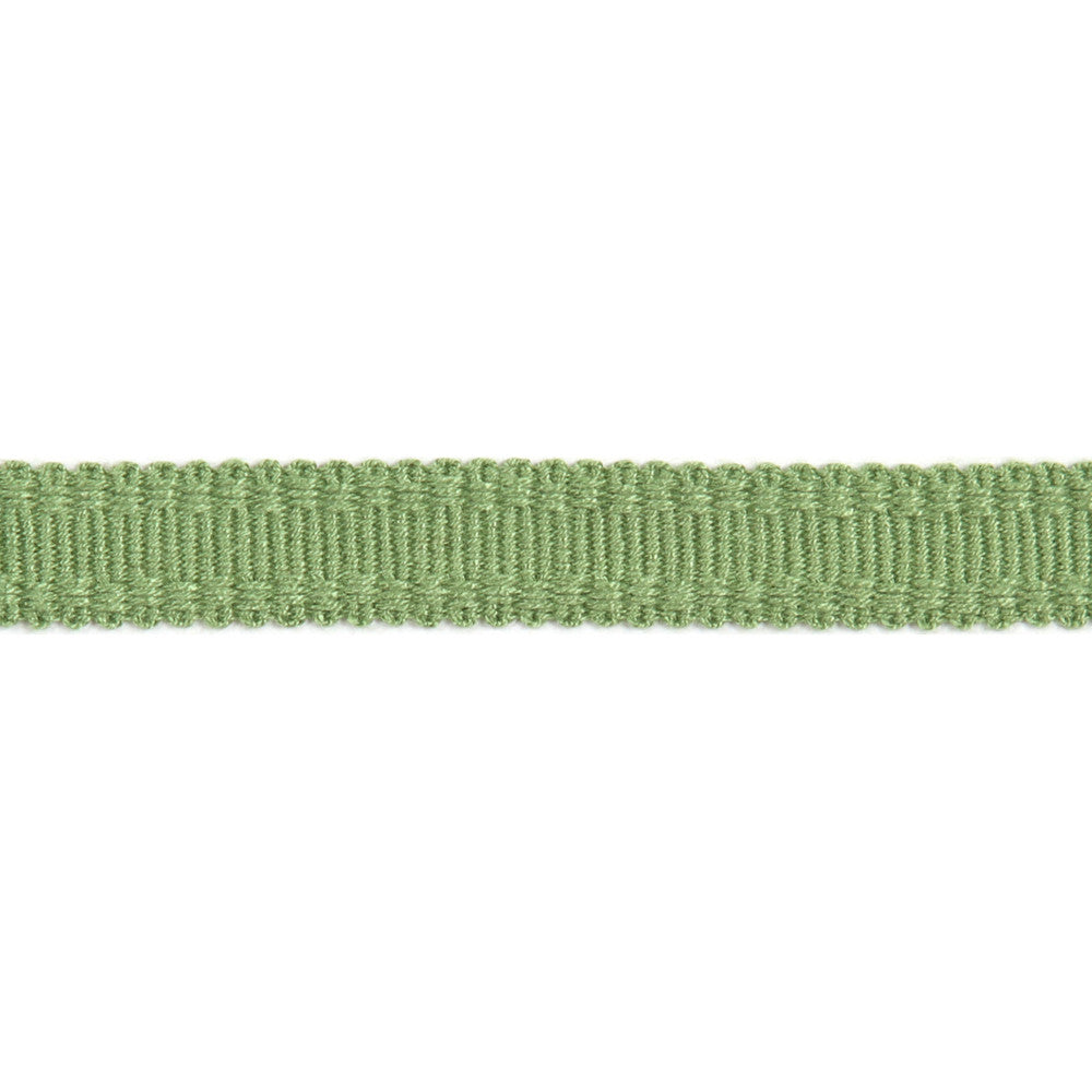Versailles 9/16" Raised Edge Gimp Lime by Europatex Designer Fabric Versailles 100% Rayon 0.56 inches - Swanky Fabrics -