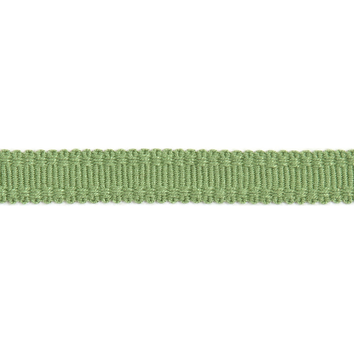 Versailles 9/16" Raised Edge Gimp Lime by Europatex Designer Fabric Versailles 100% Rayon 0.56 inches - Swanky Fabrics -