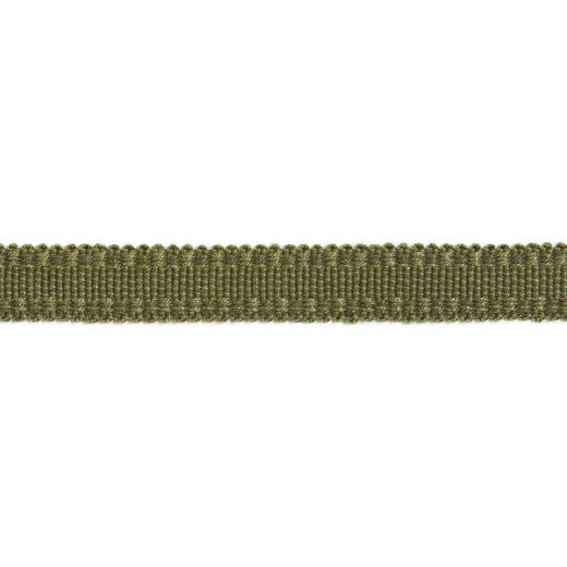 Versailles 9/16" Raised Edge Gimp - Olive by Europatex Designer Fabric Versailles 100% Rayon China See Sample Horizontal: N/A and Vertical: N/A 0.56 inches  - Swanky Fabrics -