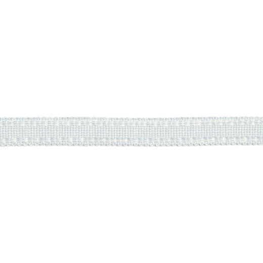 Versailles 9/16" Raised Edge Gimp - Pale Blue by Europatex Designer Fabric Versailles 100% Rayon China See Sample Horizontal: N/A and Vertical: N/A 0.56 inches  - Swanky Fabrics -