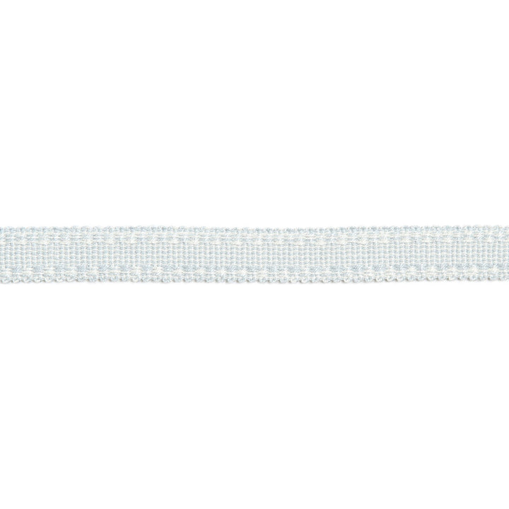 Versailles 9/16" Raised Edge Gimp Pale Blue by Europatex Designer Fabric Versailles 100% Rayon 0.56 inches - Swanky Fabrics -