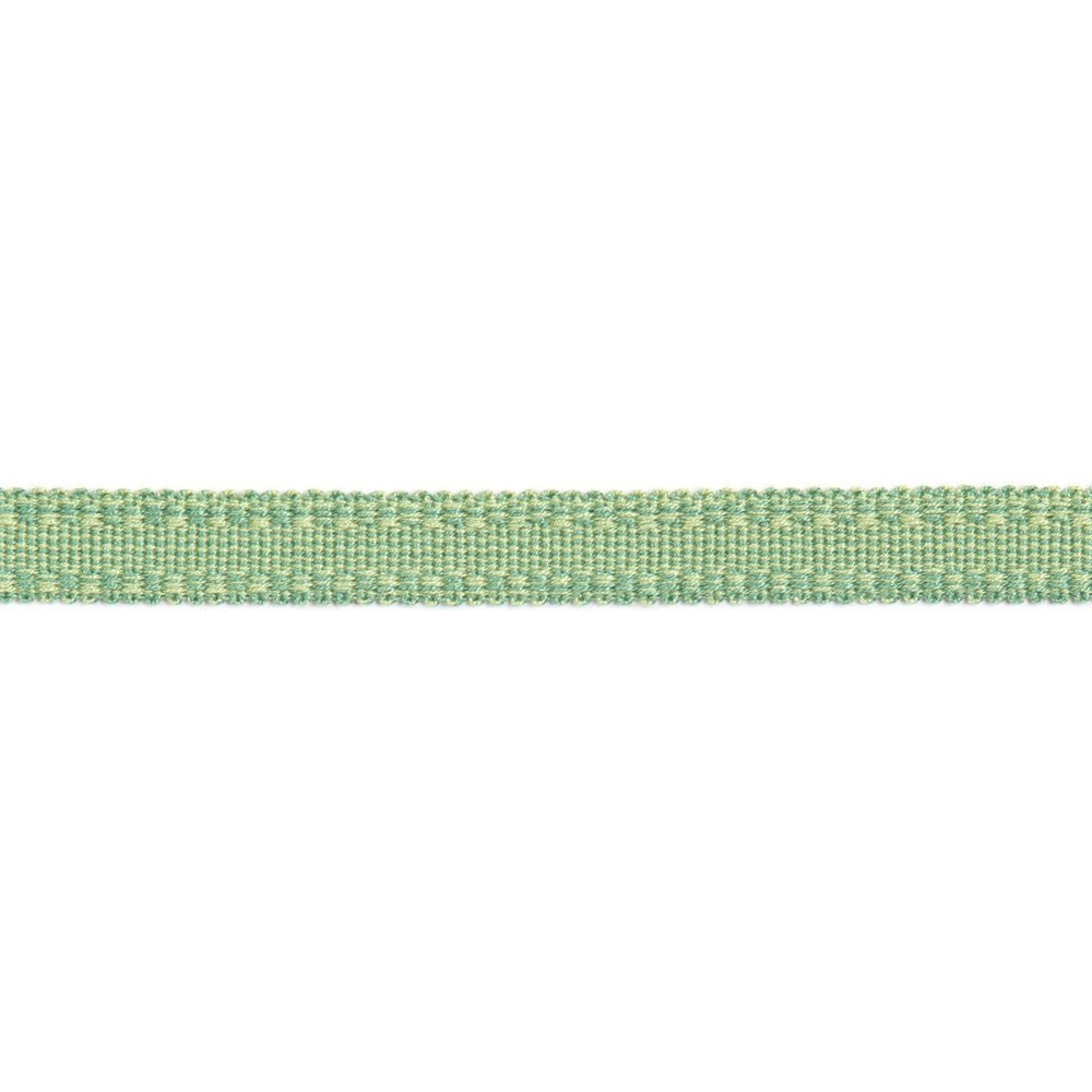 Versailles 9/16" Raised Edge Gimp Pear by Europatex Designer Fabric Versailles 100% Rayon 0.56 inches - Swanky Fabrics -