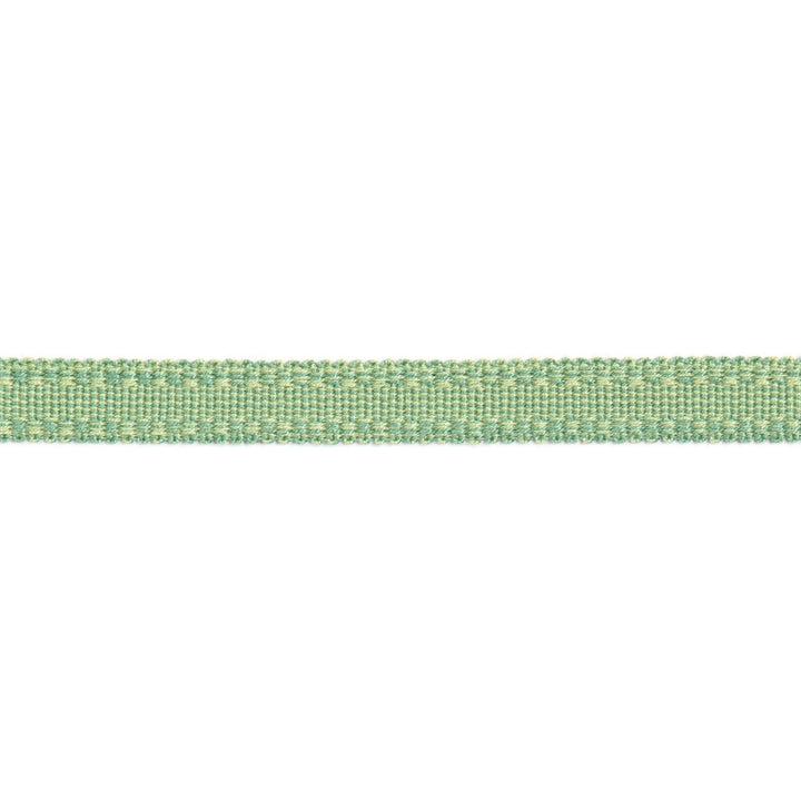Versailles 9/16" Raised Edge Gimp Pear by Europatex Designer Fabric Versailles 100% Rayon 0.56 inches - Swanky Fabrics -