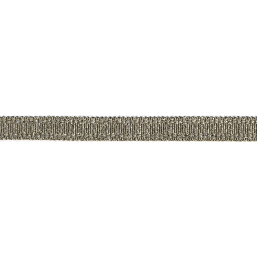 Versailles 9/16" Raised Edge Gimp Pewter by Europatex Designer Fabric Versailles 100% Rayon 0.56 inches - Swanky Fabrics -