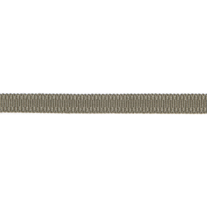 Versailles 9/16" Raised Edge Gimp Pewter by Europatex Designer Fabric Versailles 100% Rayon 0.56 inches - Swanky Fabrics -