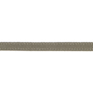 Versailles 9/16" Raised Edge Gimp Pewter by Europatex Designer Fabric
