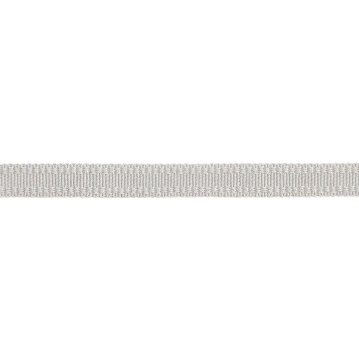 Versailles 9/16" Raised Edge Gimp Platinum by Europatex Designer Fabric Versailles 100% Rayon 0.56 inches - Swanky Fabrics -