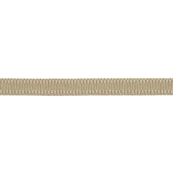 Versailles 9/16" Raised Edge Gimp Sand by Europatex Designer Fabric Versailles 100% Rayon 0.56 inches - Swanky Fabrics -