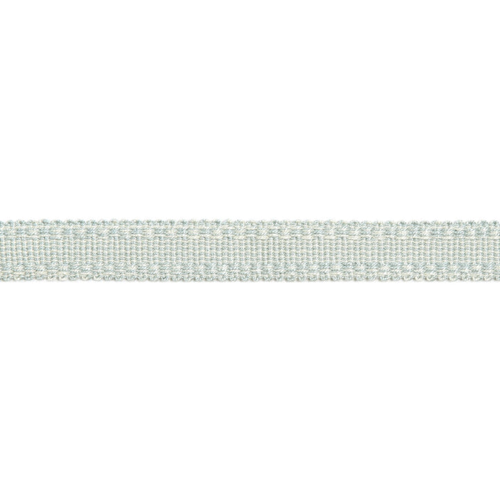 Versailles 9/16" Raised Edge Gimp Soft Mineral by Europatex Designer Fabric Versailles 100% Rayon 0.56 inches - Swanky Fabrics -