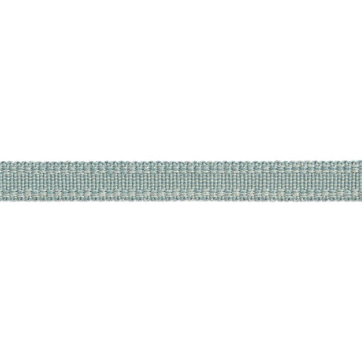 Versailles 9/16" Raised Edge Gimp Spa by Europatex Designer Fabric Versailles 100% Rayon 0.56 inches - Swanky Fabrics -