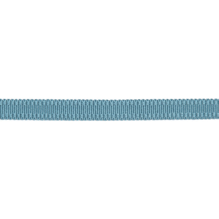 Versailles 9/16" Raised Edge Gimp Teal by Europatex Designer Fabric Versailles 100% Rayon 0.56 inches - Swanky Fabrics -