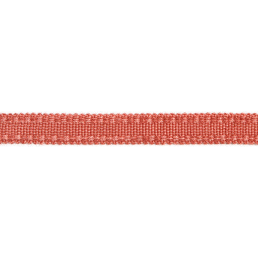 Versailles 9/16" Raised Edge Gimp - Watermelon by Europatex Designer Fabric Versailles 100% Rayon China See Sample Horizontal: N/A and Vertical: N/A 0.56 inches  - Swanky Fabrics -