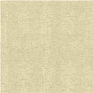 Ritzy Cream by Kasmir Designer Fabric