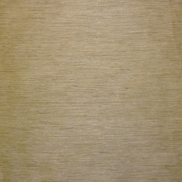 Roberto Plain Beige by Europatex Designer Fabric Roberto 100% Viscose 0.00" 55.00 inches - Swanky Fabrics -