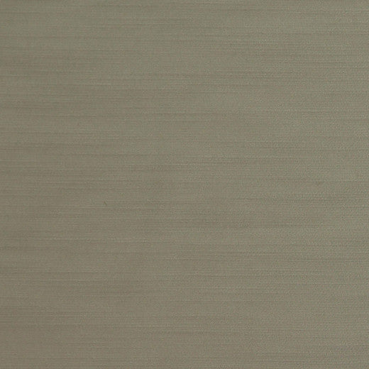 Royal Slub - Taupe by Europatex Designer Fabric Royal Slub 100% Polyester China See Sample Horizontal: N/A and Vertical: N/A 55.00 inches  - Swanky Fabrics -