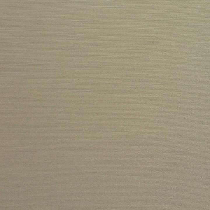 Royal Slub Vanilla by Europatex Designer Fabric Royal Slub 100% Polyester 0.00" 55.00 inches - Swanky Fabrics -