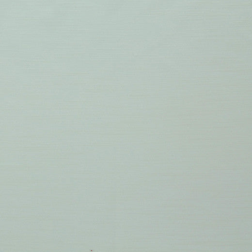 Royal Slub - White by Europatex Designer Fabric Royal Slub 100% Polyester China See Sample Horizontal: N/A and Vertical: N/A 55.00 inches  - Swanky Fabrics -