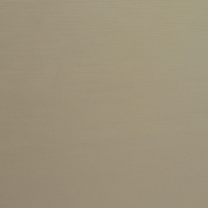 Royal Slub Vanilla by Europatex Designer Fabric Royal Slub 100% Polyester India 30,000 Double Rubs Horizontal: N/A and Vertical: N/A 55" - Swanky Fabrics -